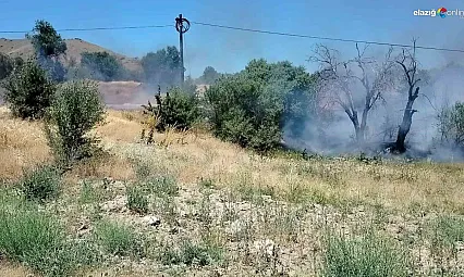 Keban'da Yangın Paniği: Onlarca Dönüm Alan Kül Oldu!
