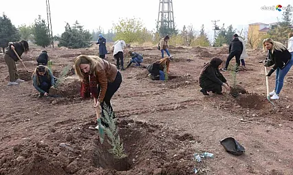 Diyarbakır Büyükşehir Belediyesi'nden Kadın Mücadelesine Anlamlı Destek