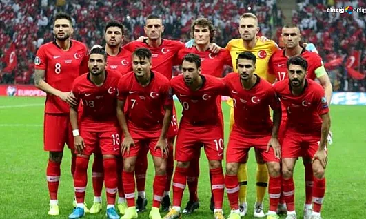 Yine Türk değil! İşte A Milli Takım'ın yeni teknik direktörü