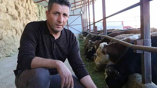TKDK'dan aldığı destek ile köyünü tavuk ve besi çiftliğine çevirdi