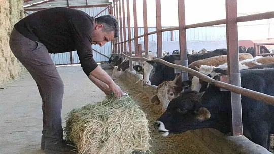 TKDK'dan aldığı destek ile köyünü tavuk ve besi çiftliğine çevirdi