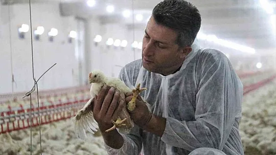 TKDK'dan aldığı destek ile köyünü tavuk ve besi çiftliğine çevirdi