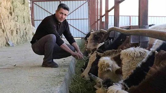 TKDK'dan aldığı destek ile köyünü tavuk ve besi çiftliğine çevirdi