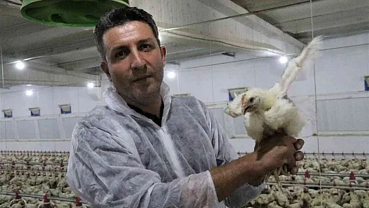 TKDK'dan aldığı destek ile köyünü tavuk ve besi çiftliğine çevirdi