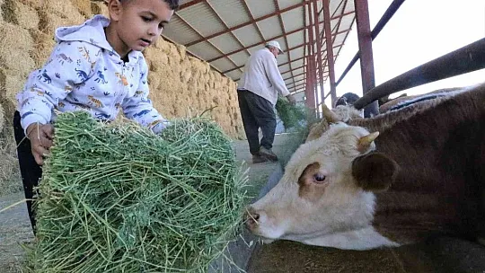 TKDK'dan aldığı destek ile köyünü tavuk ve besi çiftliğine çevirdi