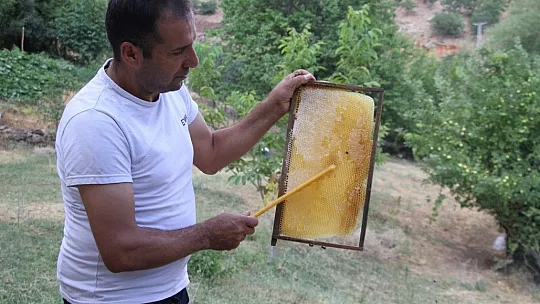Hacire Saylan: Ben yaparım dedim ve yaptım