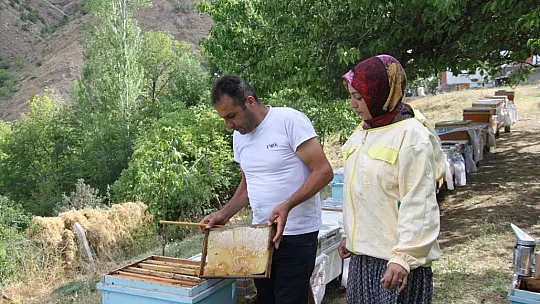 Hacire Saylan: Ben yaparım dedim ve yaptım