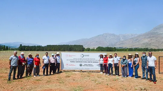 Tunceli'de 2 bin rakımda yetişen 'dağ sarımsağı' kadınların iş kapısı oldu