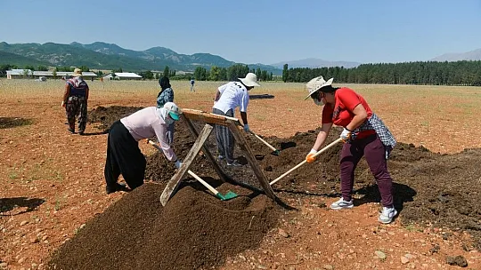 Tunceli'de 2 bin rakımda yetişen 'dağ sarımsağı' kadınların iş kapısı oldu