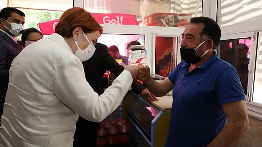 Akşener, şehit öğretmen anısına Munzur'a karanfiller bıraktı