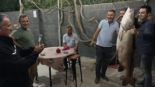 Kemah'ta 85 kg ağırlığında turna balığı yakalandı