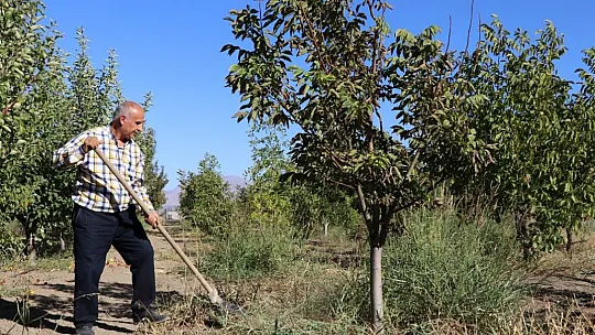 Elazığlı terzi pepinodan hünnapa çeşit çeşit meyve yetiştiriyor
