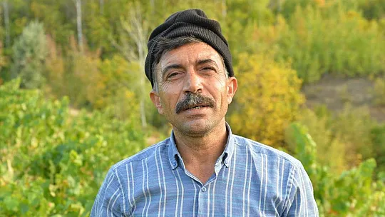 Tunceli'de üzüm bağlarında hasat başladı