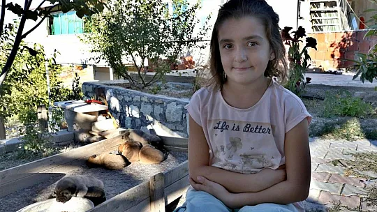 Minik Sude yaralı bulduğu köpek ile 7 yavrusuna özenle bakıyor