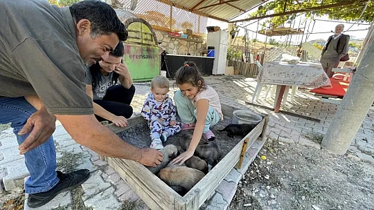 Minik Sude yaralı bulduğu köpek ile 7 yavrusuna özenle bakıyor