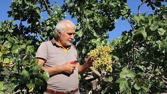 Elazığlı Mehmet amca bir ilke imza attı