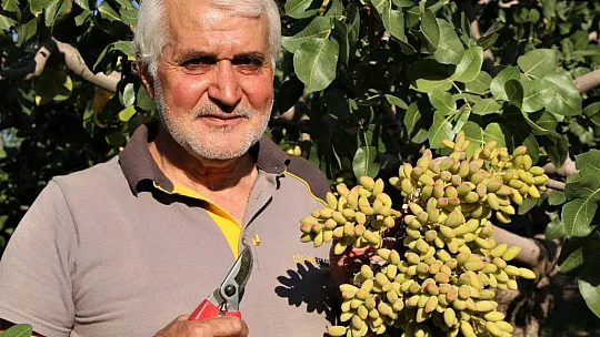 Elazığlı Mehmet amca bir ilke imza attı