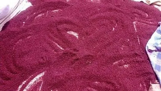 Doğal antibiyotik olarak bilinen sumak bitkisi Baskil'de yetiştirildi
