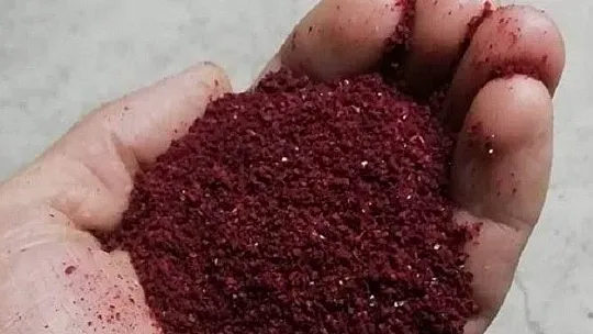 Doğal antibiyotik olarak bilinen sumak bitkisi Baskil'de yetiştirildi