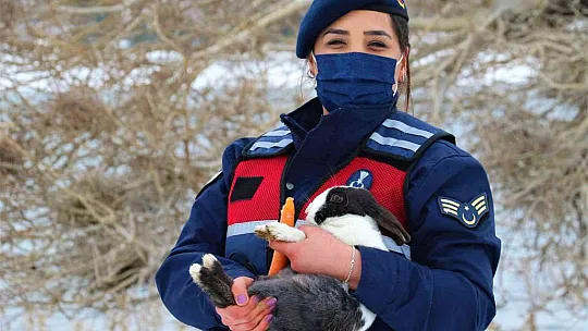 35 dönümlük ada, tavşan ve martılara emanet