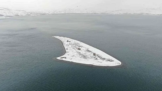 35 dönümlük ada, tavşan ve martılara emanet