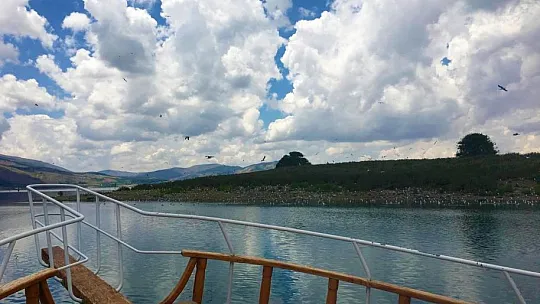 35 dönümlük ada, tavşan ve martılara emanet