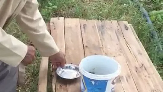 76 yaşındaki Akif Amca, yavru kargayı bebek gibi besliyor