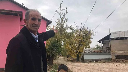 Ağaçların arasında kalan elektrik telleri tehlike saçıyor