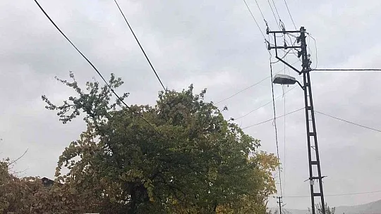 Ağaçların arasında kalan elektrik telleri tehlike saçıyor