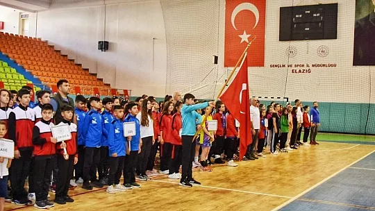 Analig Hentbol yarı finalleri Elazığ'da