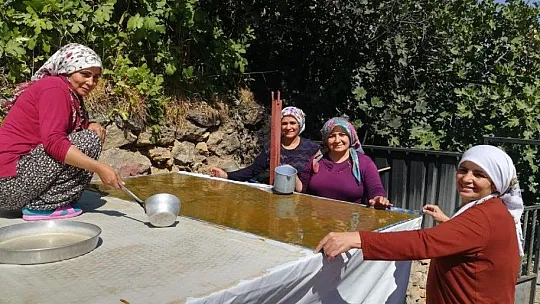 Kazanlar kuruldu, pestil ve pekmez mesaisi başladı