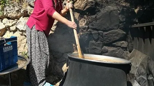 Kazanlar kuruldu, pestil ve pekmez mesaisi başladı