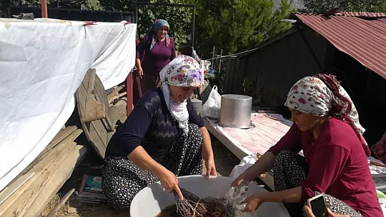 Kazanlar kuruldu, pestil ve pekmez mesaisi başladı