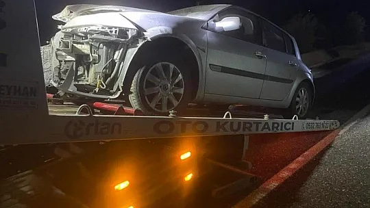 Araç domuz sürüsüne çarptı: 2 yaralı