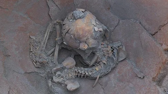 Arslantepe Höyüğü'nde küp içerisinde iki çocuk iskeleti gün yüzüne çıkarıldı