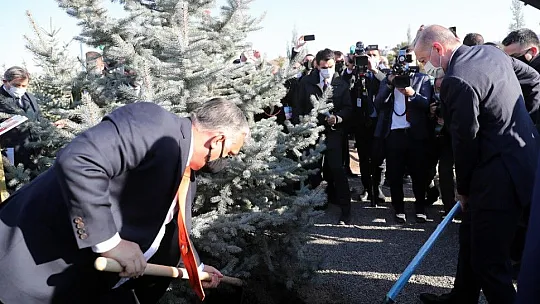 Cumhurbaşkanı Erdoğan: Cumhuriyet tarihinin en büyük ağaçlandırma seferberliğini yürütüyoruz