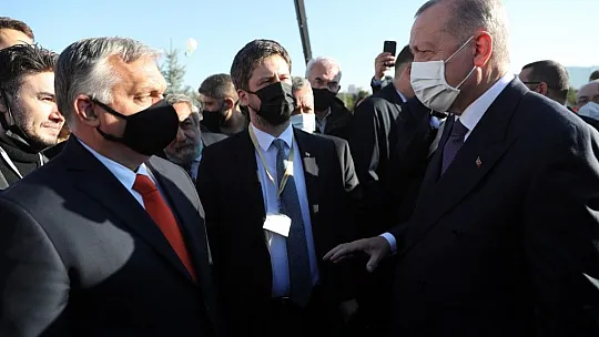 Cumhurbaşkanı Erdoğan: Cumhuriyet tarihinin en büyük ağaçlandırma seferberliğini yürütüyoruz