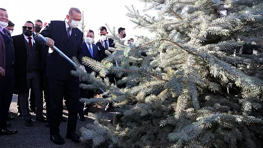 Cumhurbaşkanı Erdoğan: Cumhuriyet tarihinin en büyük ağaçlandırma seferberliğini yürütüyoruz