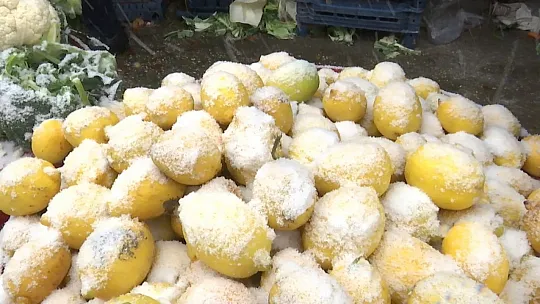 Pazarcı esnafının dondurucu soğukta zorlu ekmek mücadelesi