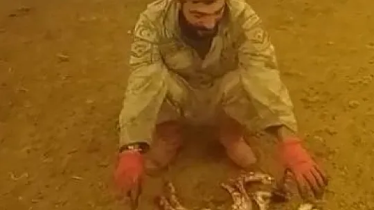8 ayaklı kuzu görenleri şaşırttı