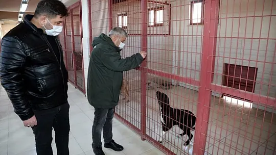 Türkiye'nin en büyük hayvan bakım evi ziyarete açılıyor