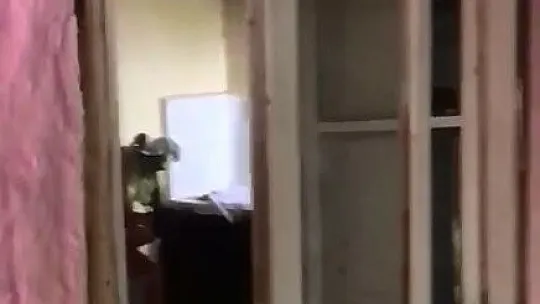 Elazığ'da hırsızlar yuh dedirti!