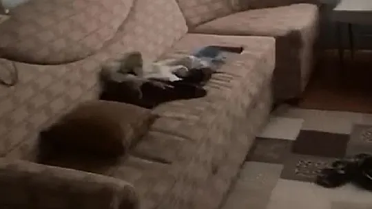 Elazığ'da hırsızlar yuh dedirti!