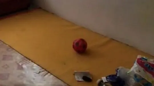 Elazığ'da hırsızlar yuh dedirti!