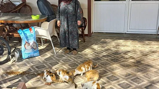 30 kediye bakan Zahide Nine'ye İl Özel İdareden mama desteği