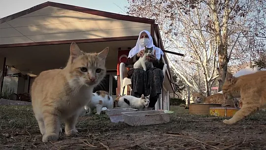 30 kediye bakan Zahide Nine'ye İl Özel İdareden mama desteği