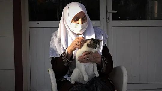 30 kediye bakan Zahide Nine'ye İl Özel İdareden mama desteği