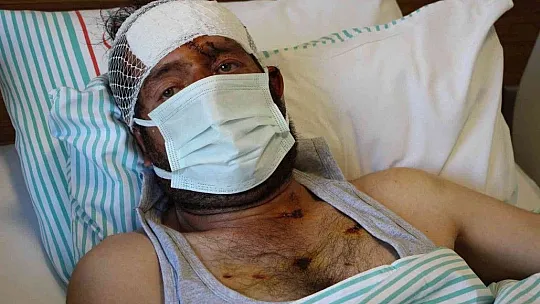 Ayı saldırısı sonucu hastanelik olan şahıs, dehşet anlarını anlattı