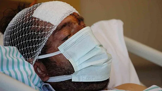 Ayı saldırısı sonucu hastanelik olan şahıs, dehşet anlarını anlattı