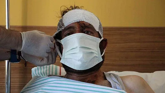 Ayı saldırısı sonucu hastanelik olan şahıs, dehşet anlarını anlattı